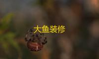 大鱼装修