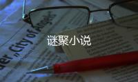 谜聚小说